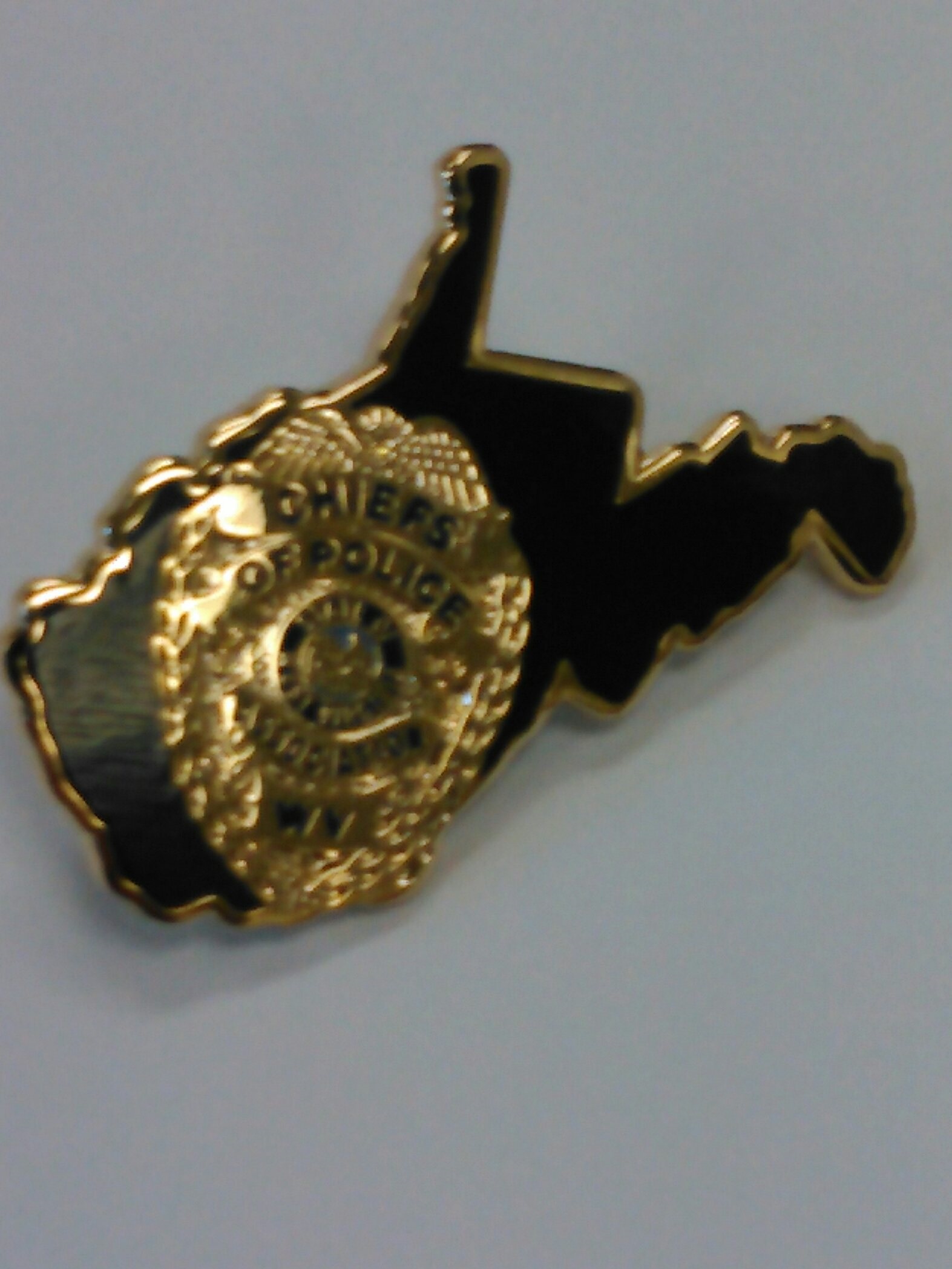 Lapel Pin - Five Dollars